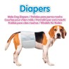 Pañal para MACHO T/ M.L (46-60 cms.)12 uds./caja