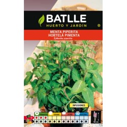 MENTA PIPERITA (INFUSIONES)  SOBRE