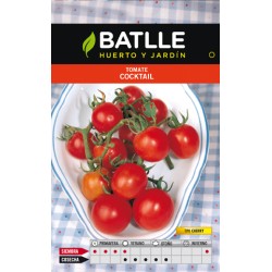 TOMATE MINI BELL CHERRY