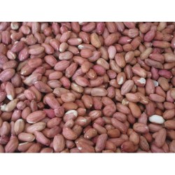 CACAHUETES PELADOS 4 KG.PRODAC