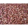 CACAHUETES PELADOS 500GR. PRODAC