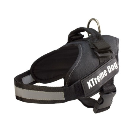 ARNES XTREME DOG LILA S (50-64cm)